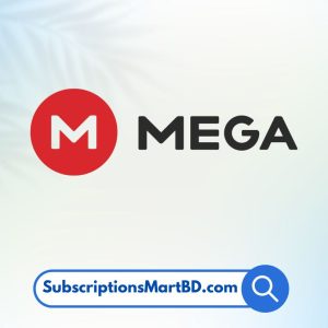 Mega.nz Storage Subscription - Secure Cloud Storage & Encrypted File Sharing in Bangladesh